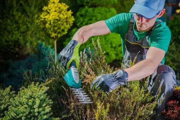 landscaping services Lithopolis
